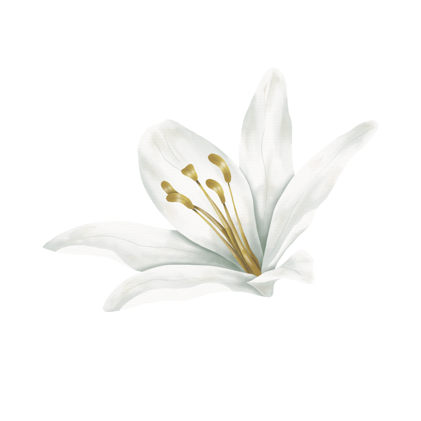 unnamed image